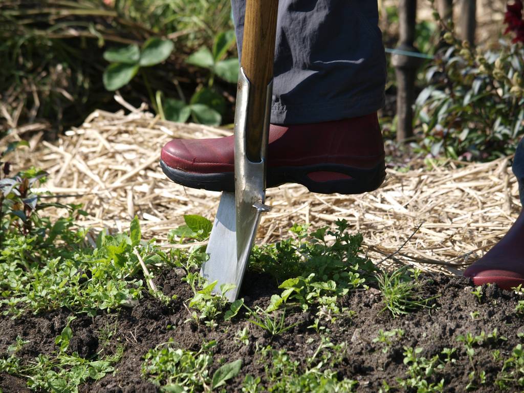 Vintage Border Spade