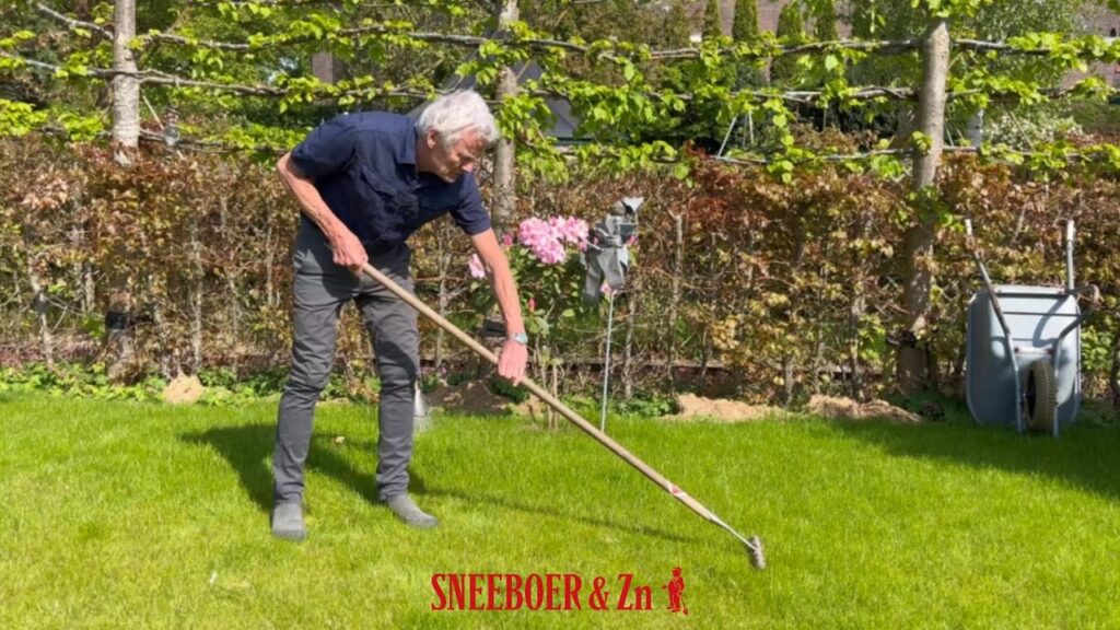 Het Belang van Verticuteren voor een Gezond Gazon
